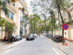chỉ 5x tỷ có ngay biệt thự mỹ đình, mt 10m đẳng cấp thượng lưu, an sinh đỉnh, giá mềm nhất từ liêm