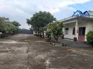 Cho thuê đất , kho bãi 1,5ha tại Phường Long Hưng giá chỉ 70 triệu