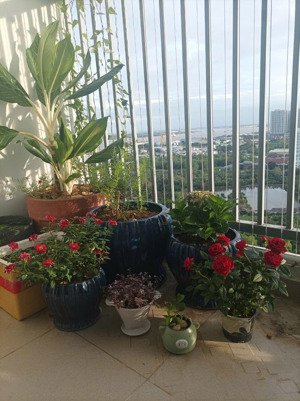 bán jamona city đào trí 2pn 1wc 60m2 có máy lạnh view sông chỉ 3,15 tỷ sổ hồng. 