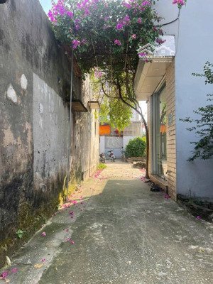 nhỉnh 3 tỷ đất đẹp vành đai 4, đức thượng ô tô gần, sát hồ