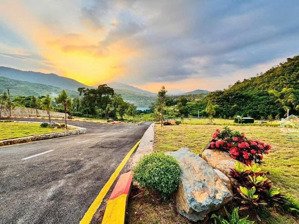 bán đất tại xã phú mãn, quốc oai, hà nội, 15 triệu / m2, 270 m2, mặt tiền 10m, ngõ 8m