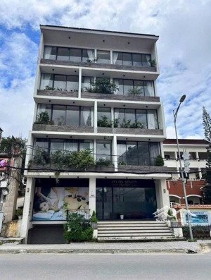 cho thuê tòa nhà mặt tiền 12m | sd 720m² | khu sôi động nhất p2