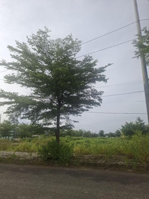 giá tốt nhất tại kđt sentosa điện bàn đông.tp đà nẳng
diện tích 120m2 .đường 7.5.ngang6m.giá 2.7ty