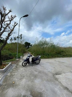 bán đất đề thám minh đức đồ sơn diện tích 45m2 giá cực hấp dẫn