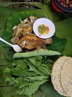 hàng hiếm tại xã trung lập thượng, củ chi, hồ chí minh, 12,5 tỷ, 2500 m2