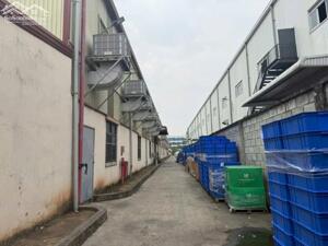 CHO THUÊ HOẶC BÁN XƯỞNG TRONG KCN BÌNH DƯƠNG