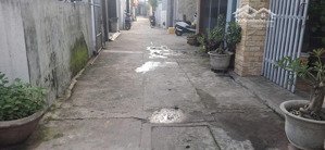 bán nhà kiệt ô tô trần văn dư, đà nẵng vị trí đẹp nở hậu tài lộc sổ đỏ sẵn diện tích: