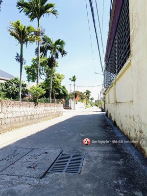 cần bán lô đất tại minh đức - nam đồ sơn giá siêu rẻ ngay sát đường ven biển