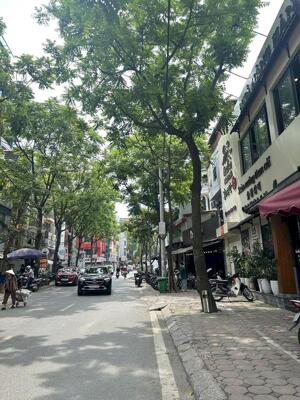 Mặt phố Phan Kế Bính 80m2, 4 tầng đẹp, mặt tiền 4.8m vỉa hè 5m kinh doanh đỉnh giá 35 tỷ