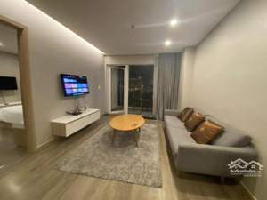 chủ đi nước ngoài sớm - cần bán gấp căn hộ 1pn - 2wc - view trực diện sông hàn - giá tốt
