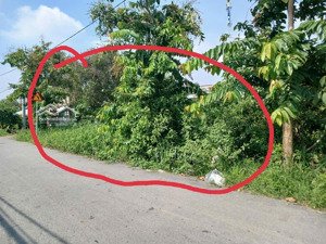 ngộp hạ giá bán gấp lô đất mặt tiền nhựa quy đức, bình chánh