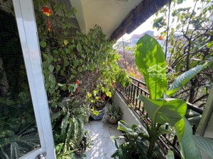 cho thuê 77-79 lý tự trọng q1 ,dt :110m2 tầng 5 giá 30tr/1 tháng