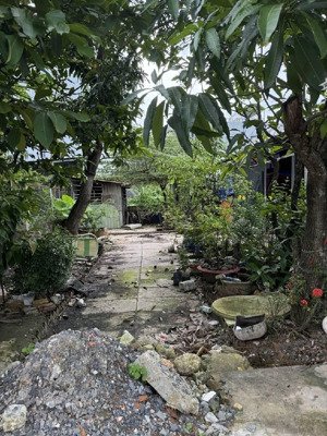 đất thổ cư đẹp 477m2 (11,63x40), oto 6m, phước kiển, nhà bè, chỉ 13,5tỷ