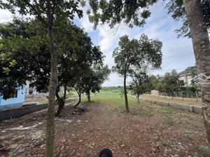 đất đầu tư nghỉ dưỡng view cánh đồng tại vân hoà ba vì