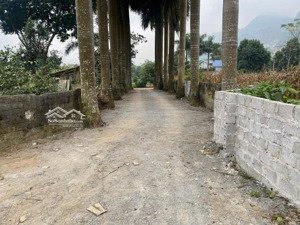 em cần bán gấp lô đất nghỉ dưỡng- giá em cắt lỗ hơn 2 triệu tý/1 mét- giá bán gấp trong tuần