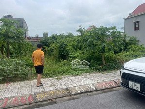 đất rẻ 111m2 ngay đường lý tổ gần chân phà cát lái giá mềm chỉ 1 tỷ 570 sổ riêng chính chủ