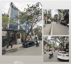 65 tỷ - siêu phẩm mặt phố phan kế binh - đoạn đẹp nhất phố -vỉa hè 2 bên rộng - 100m2 - mt 7m