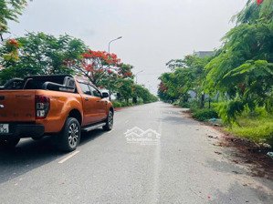 cần bán đất tái định cư hộ phụ xi măng an dương 54m giá 2,8x tỷ lh 