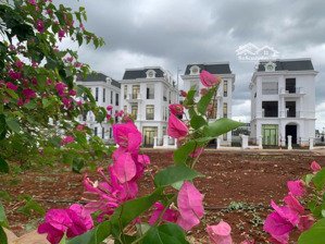 siêu phẩm biệt thự đơn lập giá tốt nhất ecocity premia gí bán 10,5 tỷ