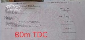 tdc tiên dược hàng hiếm hướng nam diện tích 80m2