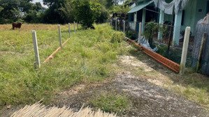 chủ kẹt tiền cần bán gấp lô đất 1 sẹc tl7, thái mỹ, dt 173m2 giá 600tr, sổ hồng riêng