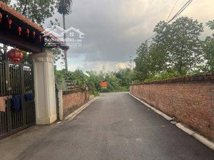 siêu phẩm ngọc động đa tốn, gia lâm