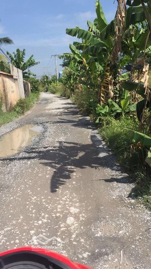 đất ngộp giá rẻ ngay cầu láng ven, xã hòa khánh đông, 5x40 (200m2), giá 900 triệu nền