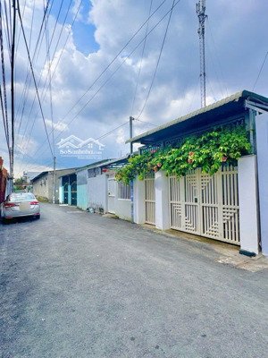 cg nhà cho thuê hẻm võ văn kiệt- lộ 5m ( gần lotte mậu thân), ninh kiều, tp cần thơ