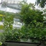 bán biệt thự sân vườn khu vip sân bay - hxt trường sơn, phường 4, tân bình 54 tỷ tl