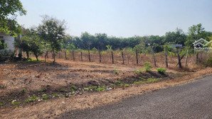 bán đất tại thiện hưng, bù đốp, bình phước, giá tốt, 1000 m2