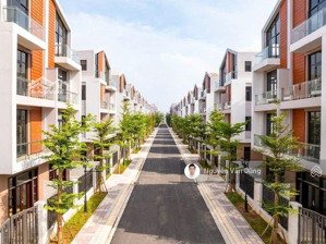 gấp: bán tứ lập ad ocp3 120m²giảm ngay 3.3 tỷ lh 