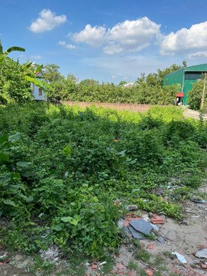 bán đất lô góc hiếm , xuân khôi (độc lập), cự khối , long biên 215m, mt 15m giá 24ty ,oto, kd