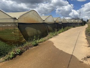 chính chủ cần chuyển nhượng 4sào đất (4000m²) tại khu hồ than thở phường 11,tp. đà lạt.