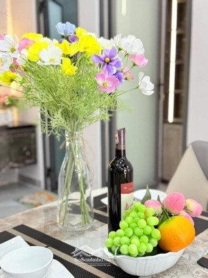 bán nhanh biệt thự mới xây 100% tại 38/43 bàu hạc 1, thanh khê . vị trí trung tâm, full nội thất