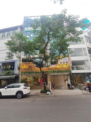 siêu hiếm - mp quang trung - hà đông, vỉa hề rộng kd sầm uất. 50m - 5t - mt 4.6m - 25 tỷ