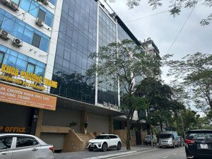 chính chủ cần bán gấp tòa nhà văn phòng 142m2 phố trần thái tông, mặt tiền 8m view thoáng giá 85 tỷ