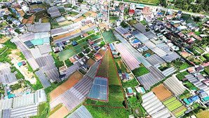 bán lô đất nông nghiệp thích hợp đầu tư tại đường mai anh đào - p8 đà lạt