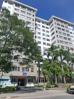 còn bán_căn chung cư cc kdt đặng xá_mặt đường dx2_full đồ_view thoáng_hướng mát_nhiêù tiện ích_tttm