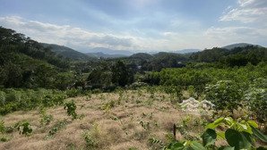 tôi cần bán lô đất nghỉ dưỡng siêu đẹp tại khánh thượng, ba vì. diện tích 4000m2, sổ đỏ. có ảnh đất