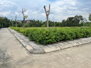  Cơ hội sở hữu đất pháp lý chuẩn chỉnh, vị trí cực đẹp chỉ 1 tỷ tại Đông Triều