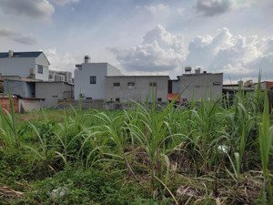 55tr/m2 - đường nhựa 6m - ngang 5.2m - không ngập - khu dân cư view vinhomes - sổ hồng riêng - hiếm