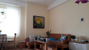 cho thuê căn hộ cc thoáng mát, sạch đẹp 2 p.ng, căn góc, ngay tt tp huế, cách siêu thị aeon 700m.