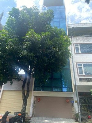 tôi cần bán building 8 tầng full kính - lk7 kiến hưng - thiết kế thông sàn - thang máy - trục 30m