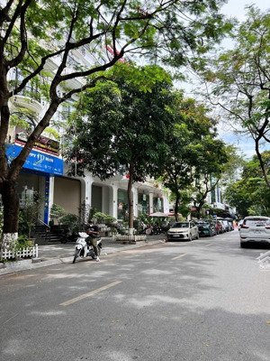 phân lô khúc thừa dụ, sát cv cầu giấy, oto tránh vỉa hè cây xanh nội thất gỗ lim, 105m mt 6m 5 tầng