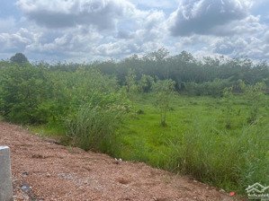 cần tiền nên em cần ra nhanh lô mặt tiền đường hồ chí minh mới, an lập, bình dương