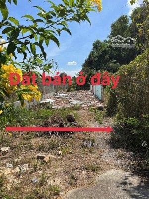 chủ kẹt tiền bán nhanh lô đất siêu đẹp phạm văn cội, giá rẻ hơn thị trường! 790tr/ 260m2