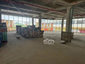 cho thuê 1500m2 đất khu chí linh