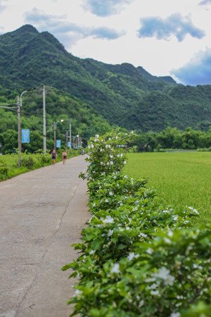 giá nhỉnh gần 2tỷ . 100m full thổ cư