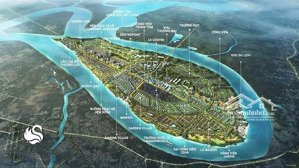 phòng kinh doanh dự án swanbay nhà phố, shophouse, biệt thự song lập đơn lập giá từ 11,5 tỷ