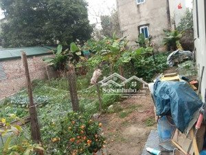 chính chủ cần bán mảnh đất đẹp đại đồng, đồng mai, hà đông giá tốt!